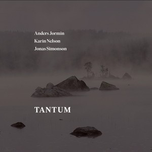 Anders Jormin Karin Nelson Jonas - Tantum