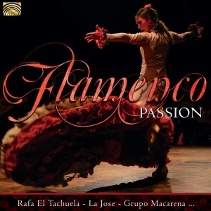 Various Artists - Flamenco Passion