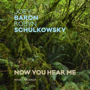 Baron Joey Schulkowsky Robyn - Now You Hear Me