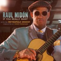 Midón Raul And Metropole Orkest Co - If You Really Want