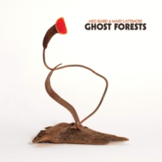 Baird Meg & Mary Lattimore - Ghost Forest
