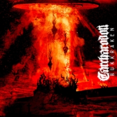 Carcharodon - Bukkraken