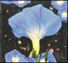 Louise Sarah - Nighttime Birds And Morning Stars