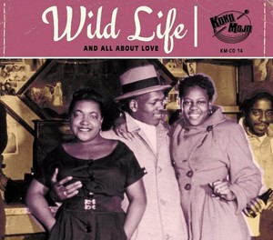 Blandade Artister - Wild Life