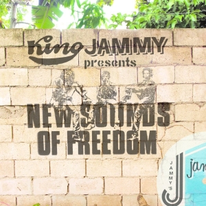 Various Artists - Reggae Mandela