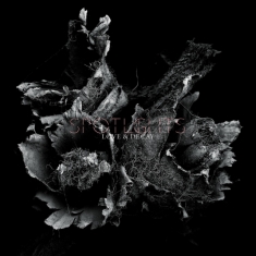 Spotlights - Love & Decay