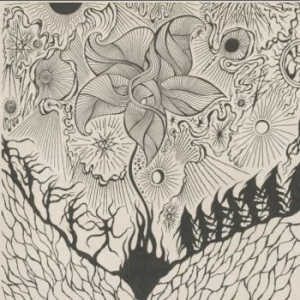 Jordsjø - Nattfiolen