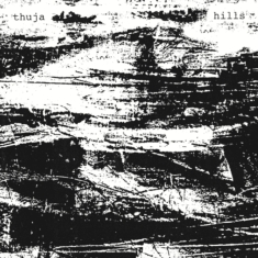 Thuja - Hills