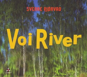 Gjorvad Sverre - Voi River