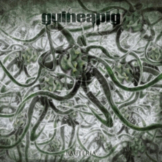 Guineapig - Bacteria