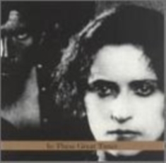 Schott John - In These Great Times