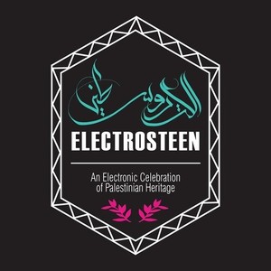 Blandade Artister - Electrosteen