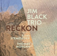 Jim Black Trio - Reckon