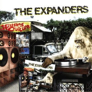 Expanders - Hustling Culture