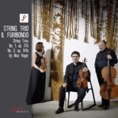 Reger Max - String Trio No. 1, Op. 77B String