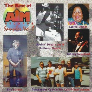 Blandade Artister - Best Of Aim