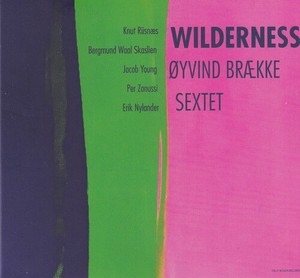 Braekke Oyvind (Sextet) - Wildernes
