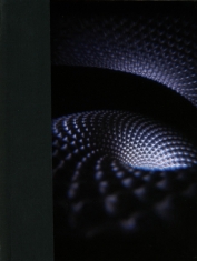 Tool - Fear Inoculum
