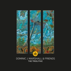 Dominic J. Marshall - Triolithic