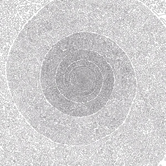 Kiss The Anus Of A Black Cat - Nebulous Of Dreams