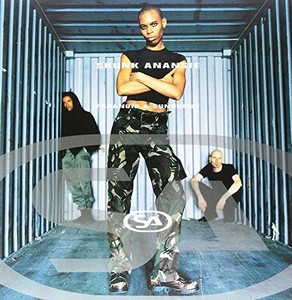 Skunk Anansie - Paranoid &.. -Coloured-