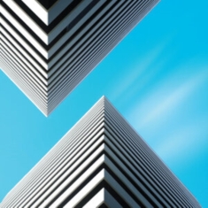 Snow Palms - Land Waves