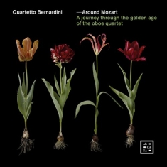 Various - Around Mozart - A Journey Through T