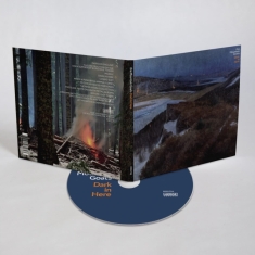 Mountain Goats The - Dark In Here