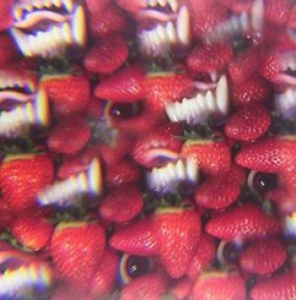 Oh Sees - Floating Coffin