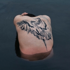 Jodi - Blue Heron
