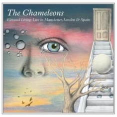 Chameleons - Elevated Living