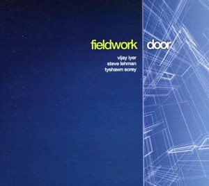 Fieldwork - Door