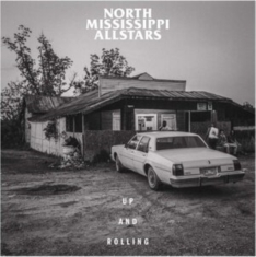 North Mississippi Allstars - Up And Rolling (Sea Glass Smoke Vin