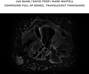 Jan Bang / David Toop / Mark Wastel - Compound Full Of Bones Translucent