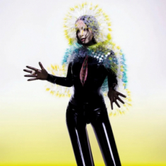 Bjork - Vulnicura