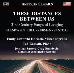 Various - Brandwein, Hill, Rudman & Santore: