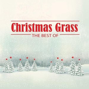 Blandade Artister - Christmas Grass: The Best Of (Green