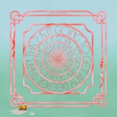 Soft Pink Truth The - Is It Going To Get Any Deeper Than