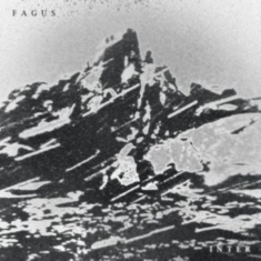 Fagus - Inter