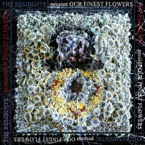 Residents - Our Finest Flowers Rsd