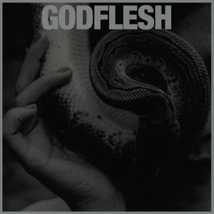 Godflesh - Purge (Vinyl Lp)