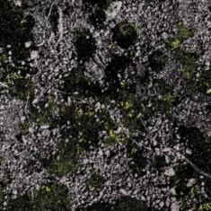 King Gizzard & The Lizard Wizard - Infest The Rats Nest (Live At Red R