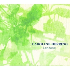 Herring Caroline - Lantana