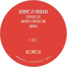 Mehari Hermon Cheick Tidiane Seck - Tenafaqit (Danilo Plessow Remix) /