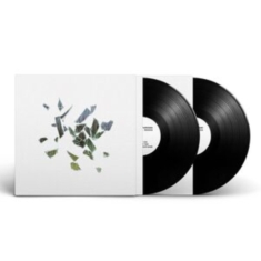 These New Puritans - Field Of Reeds