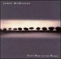 Mcmurtry James - Saint Mary Of The Woods i gruppen Annet /  hos Bengans Skivbutik AB (506751)