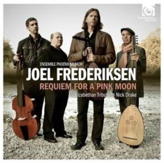 Joel Fredriksen - Requiem For Pink Moon - Nick Drake