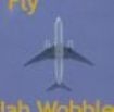 Jah Wobble - Fly i gruppen Annet /  hos Bengans Skivbutik AB (518416)