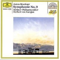 Bruckner - Symfoni 9 D-Moll i gruppen CD / Klassisk hos Bengans Skivbutik AB (521041)