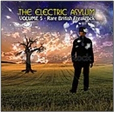 Various Artists - The Electric Asylum Vol 5